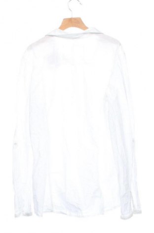 Damska koszula Opus Ros, Rozmiar M, Kolor Biały, Cena 24,99 zł