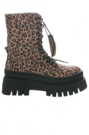 Дамски боти Steve Madden, Размер 40, Цвят Многоцветен, Цена 60,33 €