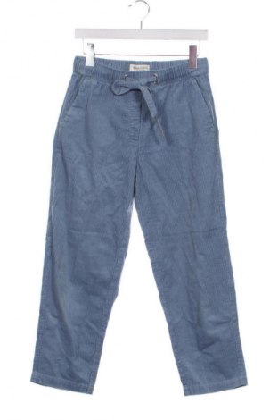 Damen Cordhose Marc O'Polo, Größe XS, Farbe Blau, Preis 31,99 €