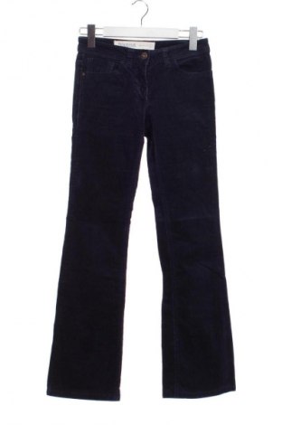 Dámské manšestráky  Next, Velikost XS, Barva Modrá, Cena  89,00 Kč