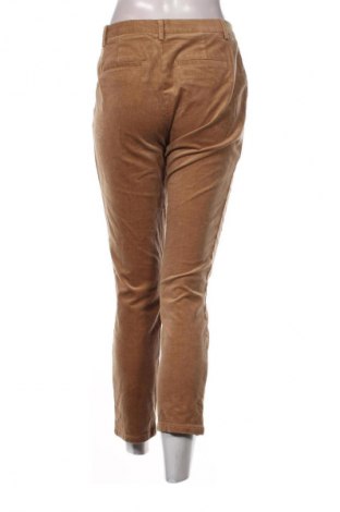 Dámske menčestráky United Colors Of Benetton, Veľkosť M, Farba Hnedá, Cena  29,95 €