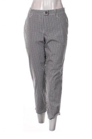 Damenhose Peter Hahn, Größe L, Farbe Mehrfarbig, Preis € 16,99