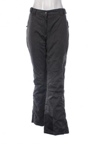 Дамски панталон за зимни спортове Crane, Размер XL, Цвят Сив, Цена 15,33 €