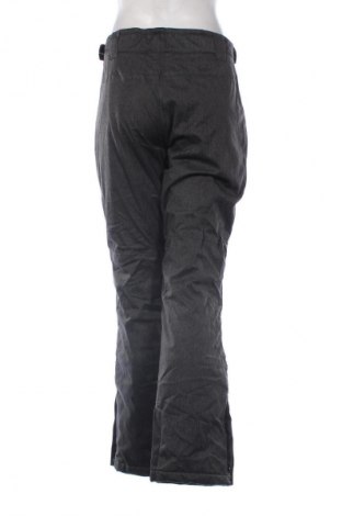 Дамски панталон за зимни спортове Crane, Размер XL, Цвят Сив, Цена 15,33 €