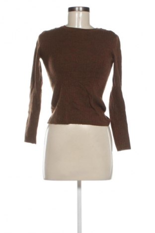 Damenpullover Assembly Label, Größe XS, Farbe Braun, Preis € 24,99
