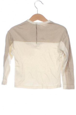 Detská blúzka  Fagottino By Oviesse, Veľkosť 2-3y/ 98-104 cm, Farba Viacfarebná, Cena  5,00 €