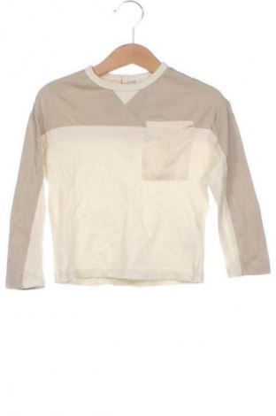 Detská blúzka  Fagottino By Oviesse, Veľkosť 2-3y/ 98-104 cm, Farba Viacfarebná, Cena  5,00 €