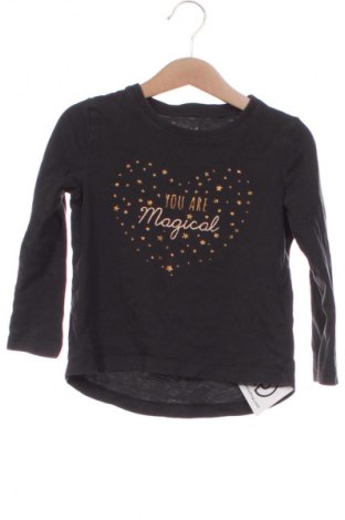 Gyerek blúz Lupilu, Méret 2-3y / 98-104 cm, Szín Szürke, Ár 669 Ft