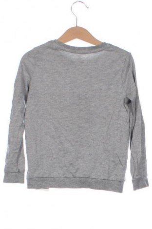 Gyerek blúz Lupilu, Méret 4-5y / 110-116 cm, Szín Szürke, Ár 1 248 Ft