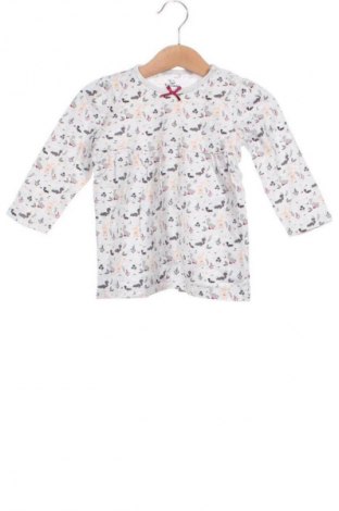 Detská blúzka  Topomini, Veľkosť 9-12m/ 74-80 cm, Farba Viacfarebná, Cena  1,95 €