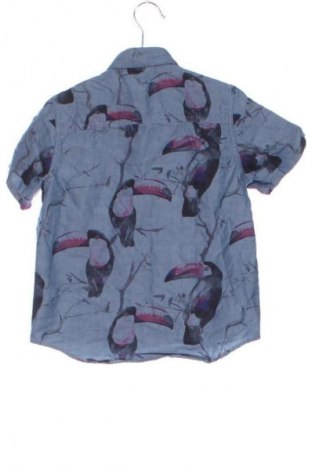 Cămașă pentru copii Next, Mărime 3-4y/ 104-110 cm, Culoare Multicolor, Preț 17,99 Lei