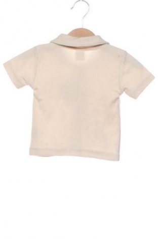 Kinder T-Shirt Lusa, Größe 6-9m/ 68-74 cm, Farbe Mehrfarbig, Preis € 1,99