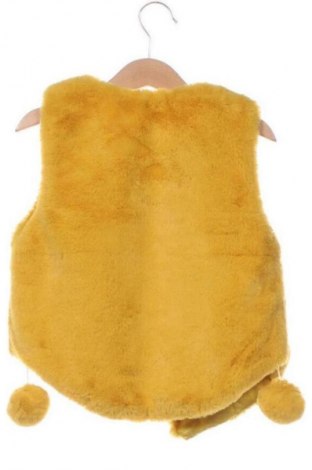 Παιδικό γιλέκο Unbranded, Μέγεθος 6-7y/ 122-128 εκ., Χρώμα Κίτρινο, Τιμή 11,99 €