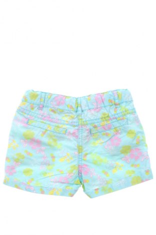 Kinder Shorts Dopo Dopo, Größe 2-3m/ 56-62 cm, Farbe Mehrfarbig, Preis 1,99 €