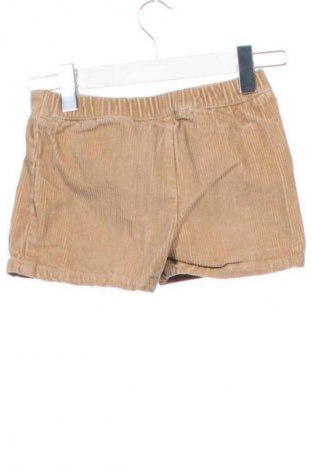 Kinder Shorts LC Waikiki, Größe 4-5y/ 110-116 cm, Farbe Mehrfarbig, Preis 2,99 €