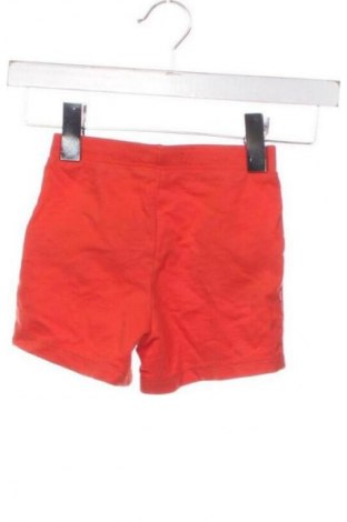 Gyerek rövidnadrág Sinsay, Méret 18-24m / 86-98 cm, Szín Piros, Ár 1 822 Ft