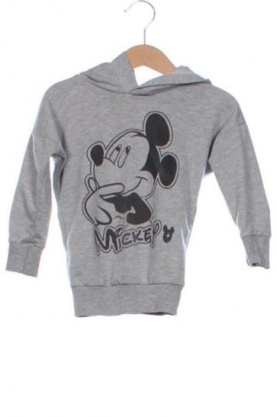 Gyerek sweatshirt Unbranded, Méret 2-3y / 98-104 cm, Szín Szürke, Ár 2 099 Ft