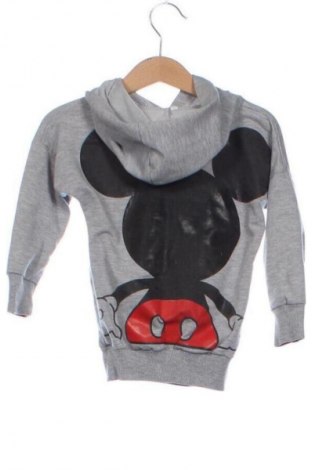 Gyerek sweatshirt Unbranded, Méret 2-3y / 98-104 cm, Szín Szürke, Ár 2 099 Ft