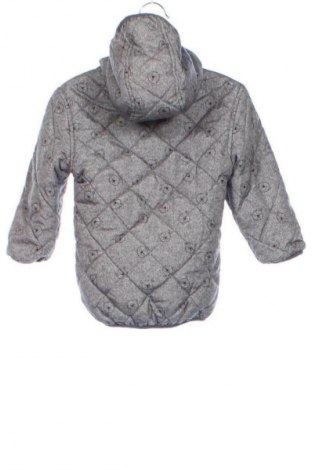 Geacă pentru copii Staccato, Mărime 9-12m/ 74-80 cm, Culoare Gri, Preț 136,99 Lei