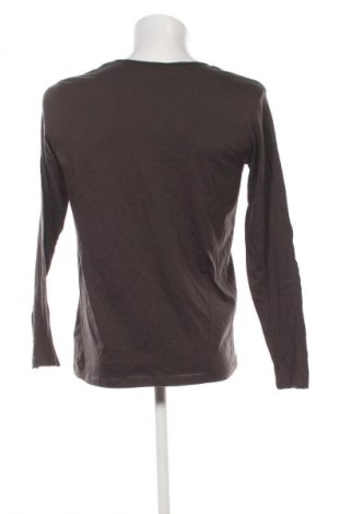 Herren Shirt Jack & Jones, Größe M, Farbe Grün, Preis 19,99 €