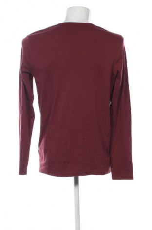 Pánské tričko  Montego, Velikost L, Barva Červená, Cena  349,00 Kč