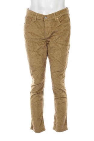 Pánské manšestráky  Levi's, Velikost L, Barva Hnědá, Cena  269,00 Kč