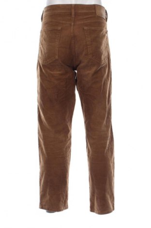Herren Cordhose Pierre Cardin, Größe XXL, Farbe Braun, Preis € 16,99