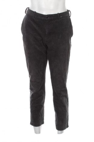 Herren Cordhose Uniqlo, Größe M, Farbe Grau, Preis € 10,99