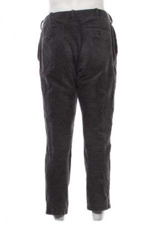 Herren Cordhose Uniqlo, Größe M, Farbe Grau, Preis € 10,99