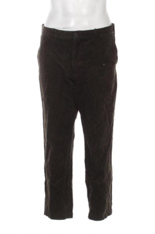 Herren Cordhose Uniqlo, Größe M, Farbe Grün, Preis € 9,99