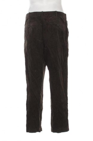 Herren Cordhose Uniqlo, Größe M, Farbe Grün, Preis € 9,99