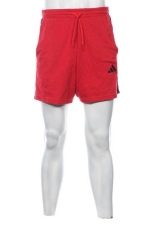 Herren Shorts Adidas, Größe M, Farbe Rot, Preis 15,99 €