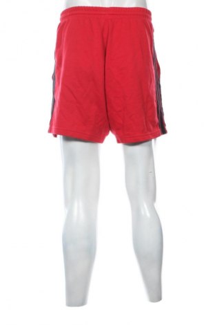 Herren Shorts Adidas, Größe M, Farbe Rot, Preis 15,99 €