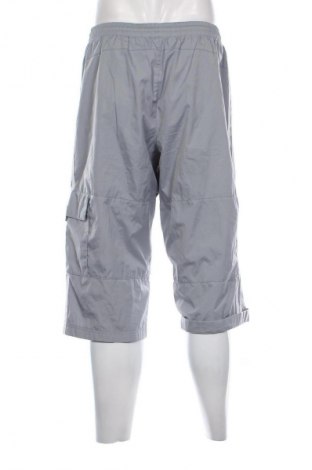 Pánské kraťasy Adidas, Velikost L, Barva Šedá, Cena  599,00 Kč