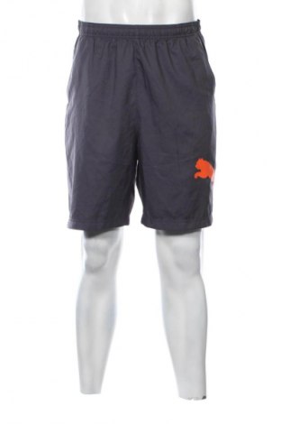Herren Shorts PUMA, Größe XL, Farbe Grau, Preis € 17,99