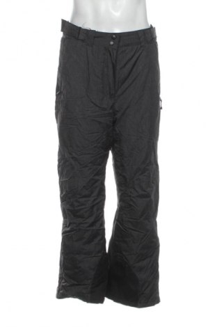 Мъжки панталон за зимни спортове Crane, Размер L, Цвят Сив, Цена 16,36 €