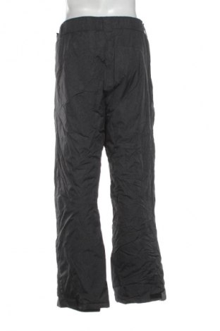 Мъжки панталон за зимни спортове Crane, Размер L, Цвят Сив, Цена 16,36 €