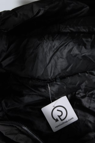 Pánská bunda  Livergy, Velikost XL, Barva Černá, Cena  649,00 Kč