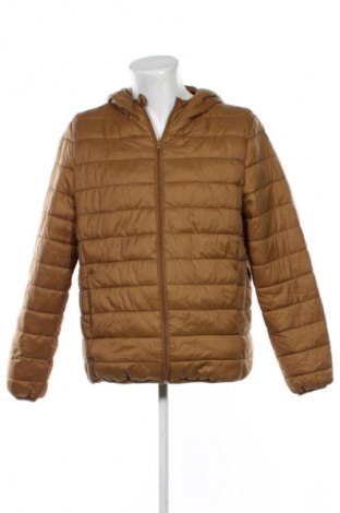 Pánská bunda  Primark, Velikost XL, Barva Hnědá, Cena  399,00 Kč