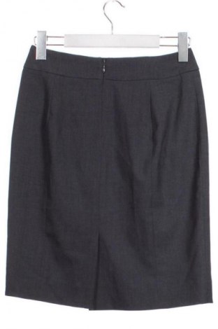 Пола Calvin Klein, Размер XS, Цвят Сив, Цена 57,77 €