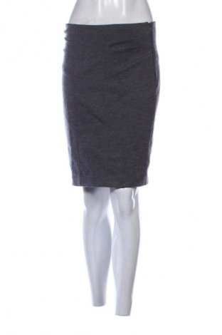 Rock Diane Von Furstenberg, Größe M, Farbe Grau, Preis 42,58 €