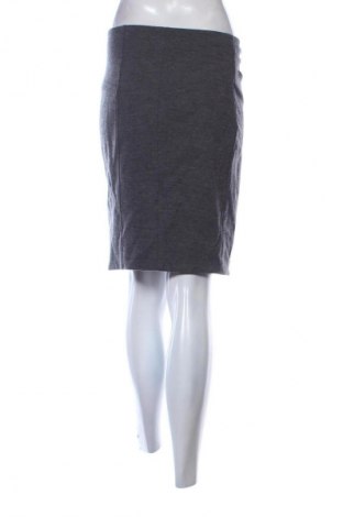 Rock Diane Von Furstenberg, Größe M, Farbe Grau, Preis 42,58 €