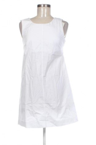 Sukienka Calvin Klein Jeans, Rozmiar XS, Kolor Biały, Cena 452,99 zł