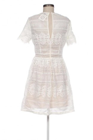 Kleid Hallhuber, Größe M, Farbe Mehrfarbig, Preis 43,00 €