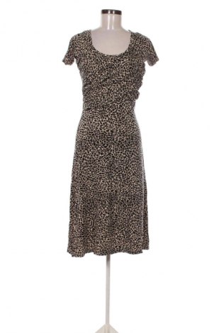 Rochie Minuet, Mărime M, Culoare Multicolor, Preț 37,99 Lei