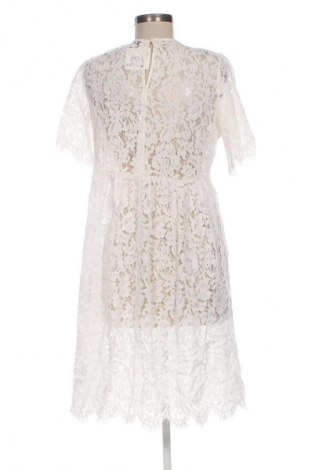 Kleid Pieces, Größe L, Farbe Ecru, Preis 9,99 €