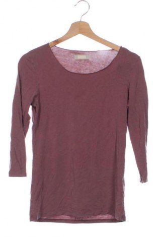 Γυναικεία μπλούζα Blaumax, Μέγεθος XS, Χρώμα Ρόζ , Τιμή 7,99 €