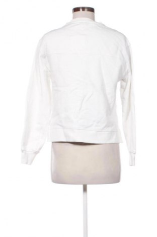 Дамска блуза Scalpers, Размер S, Цвят Бял, Цена 11,24 €