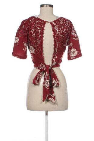 Damen Shirt Terranova, Größe L, Farbe Mehrfarbig, Preis € 9,99