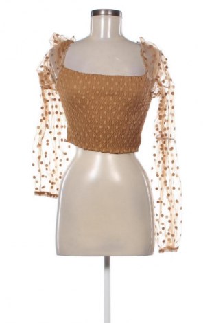 Dámská halenka Unbranded, Velikost XL, Barva Hnědá, Cena  49,00 Kč